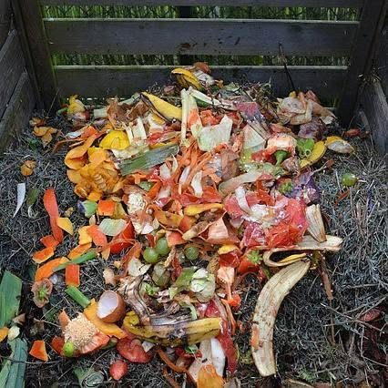 Compost bin with food scraps