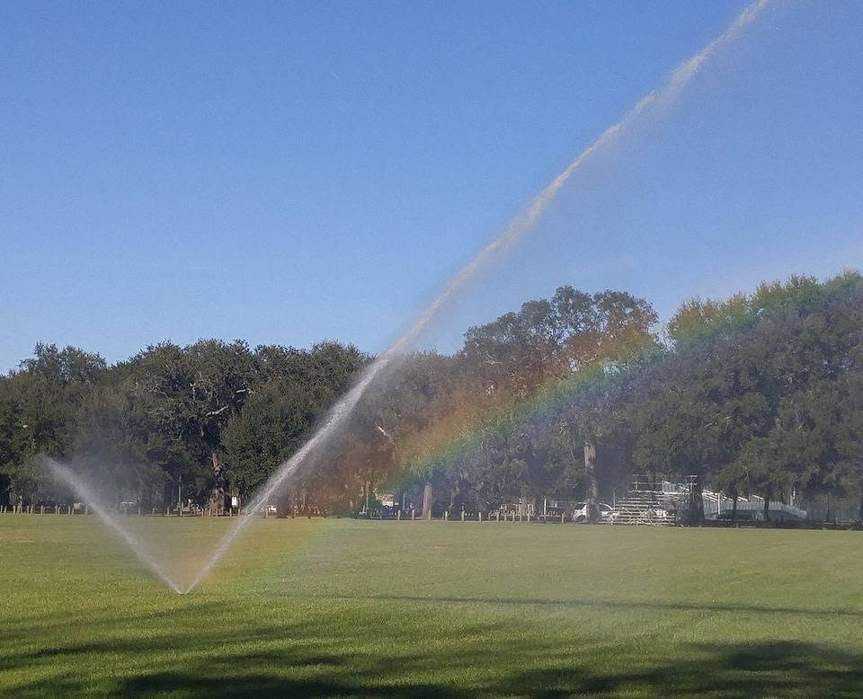 Sprinklers watering a large lawn with a rainbow in the spray